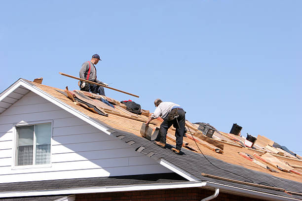 Best Roof Installation  in Ashland, AL