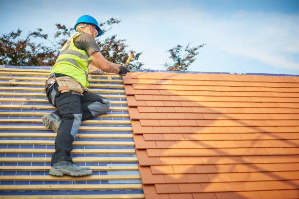 Best Roof Moss and Algae Removal  in Ashland, AL